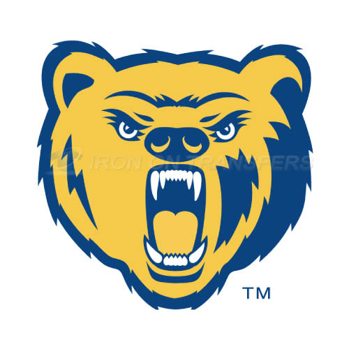 Northern Colorado Bears Iron-on Stickers (Heat Transfers)NO.5653